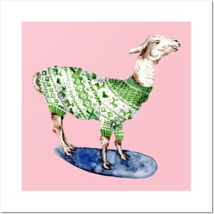 Llama in Green Sweater Posters and Art